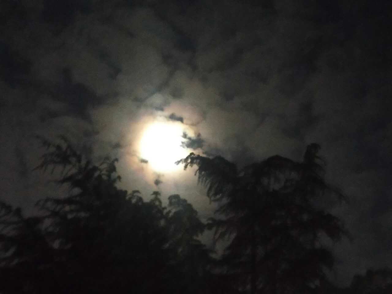 webwxgetmsgimg (8).jpg