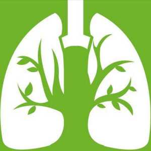 【PPT下载】从教室到病房：肺结核防控的“双场景”硬核指南 ...